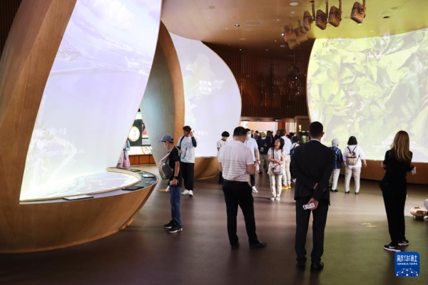 同花配 记者手记｜在大阪世博会感受多彩中国