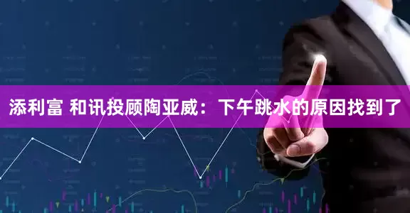 添利富 和讯投顾陶亚威：下午跳水的原因找到了