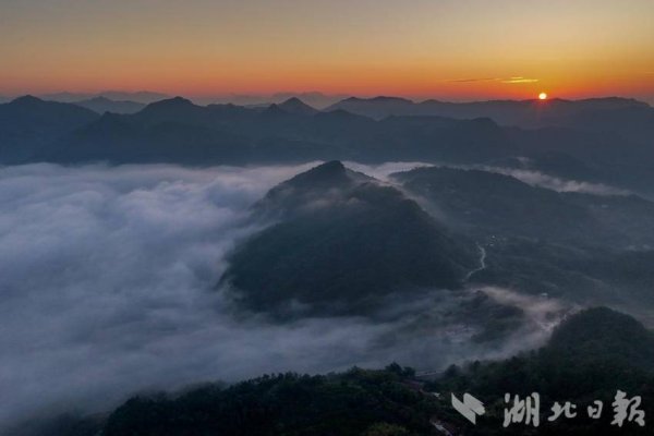 银易配资网 蕲春雾云山这幅“稻海云海图”绝了！